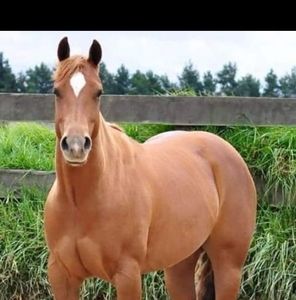 Meet your Posher, Alejandro